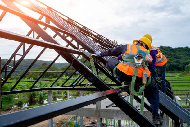 Best Roof Gutter Cleaning  in De Soto, KS