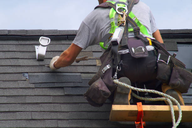 Best Roof Waterproofing Services  in De Soto, KS